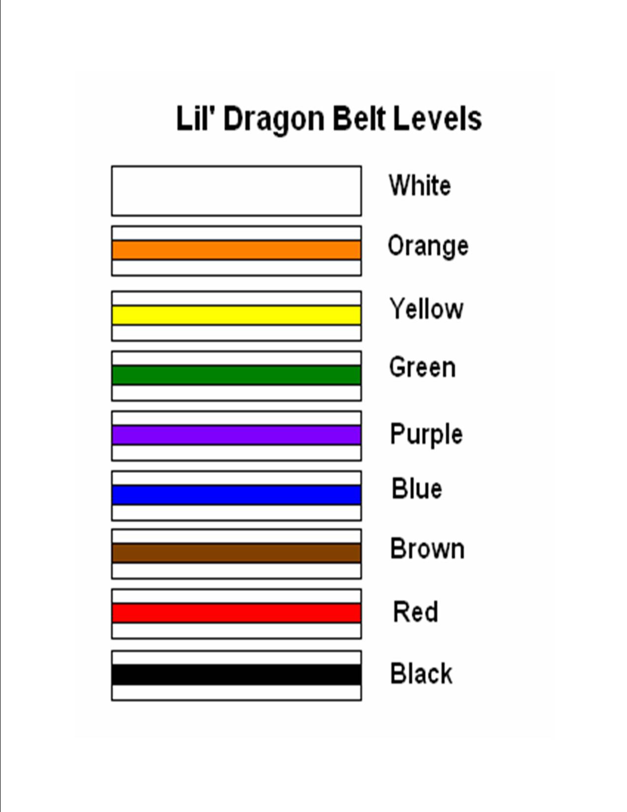 Impact Martial Arts Taekwondo Tampa Westchase 33626 Student Area Lil Dragons Belt Levels